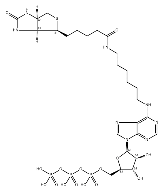 N6-(6-Amino)hexyl-ATP (Biotin),126320-25-0,结构式