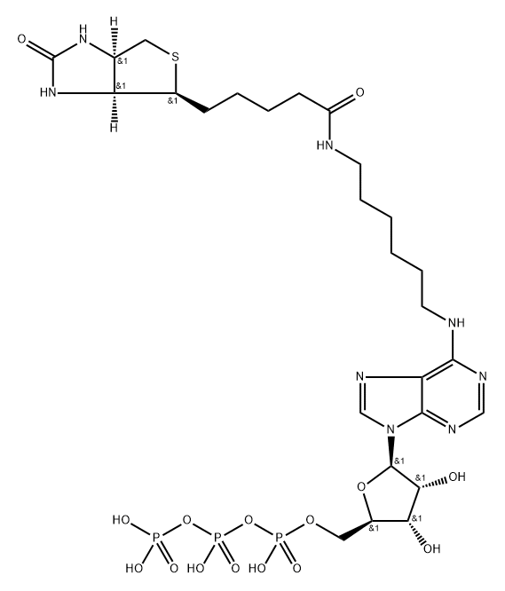 N6-(6-Amino)hexyl-ATP (Biotin)|N6-(6-Amino)hexyl-ATP (Biotin)