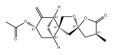 EXPANSOLIDEA Structure