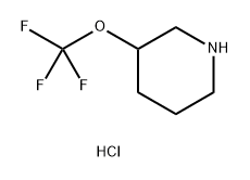 3-(trifluoromethoxy)piperidine hydrochloride 化学構造式