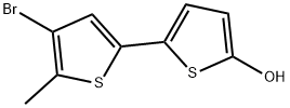 4'-Bromo-5'-methyl[2,2'-bithiophen]-5-ol,1313392-40-3,结构式