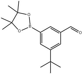 3-(tert-butyl)-5-(4,4,5,5-tetramethyl-1,3,2-dioxaborol Structure