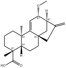 12alpha-Methoxygrandiflorenic acid Struktur