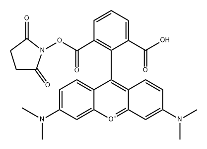 6-CARBOXYTETRAMETHYLRHODAMINE  SUCCINIMI Structure