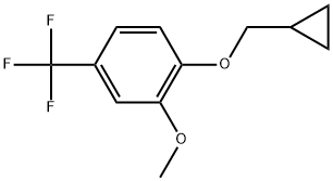 1-(Cyclopropylmethoxy)-2-methoxy-4-(trifluoromethyl)benzene 结构式