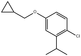 1-chloro-4-(cyclopropylmethoxy)-2-isopropylbenzene Structure