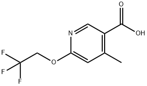 4-methyl-6-(2,2,2-trifluoroethoxy)nicotinic acid Structure