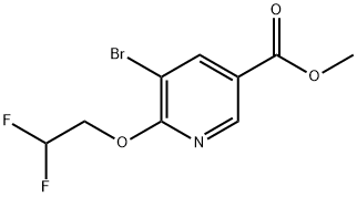 methyl 5-bromo-6-(2,2-difluoroethoxy)nicotinate,1373864-93-7,结构式