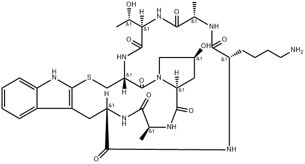 (Lys7)-Phalloidin Structure