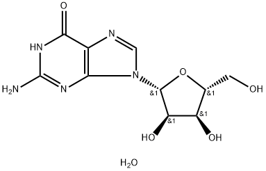 Guanosine Hydrate Structure