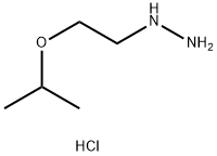 2-(propan-2-yloxy)ethyl]hydrazine dihydrochloride 化学構造式