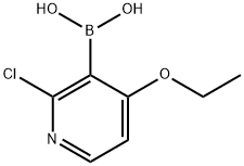 B-(2-Chloro-4-ethoxy-3-pyridinyl)boronic acid 结构式