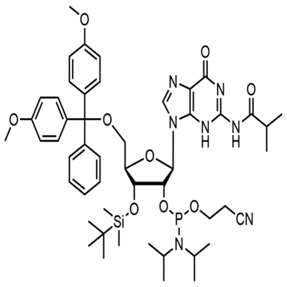 3'-TBDMS-IBU-RG 亚磷酰胺单体 结构式