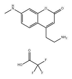 FFN206 Struktur