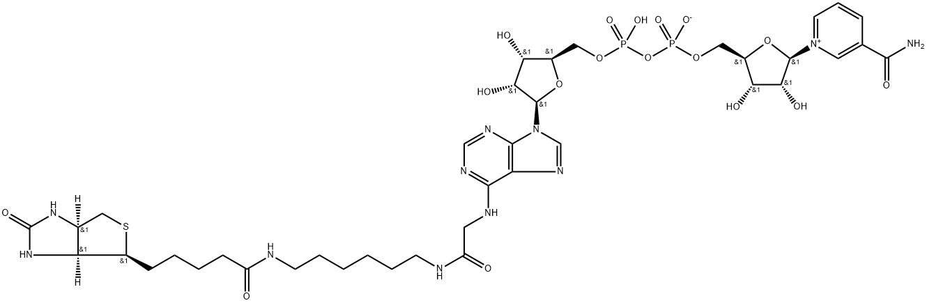 生物素-NAD + 结构式