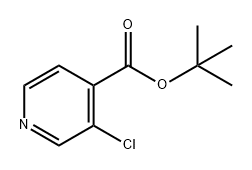 tert-butyl 3-chloropyridine-4-carboxylate|3-氯异烟酸叔丁酯