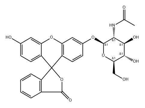 Fluorescein mono-(N-acetyl-beta-D-glucosaminide) suitable for fluorescence Structure