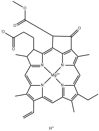 chlorophyllide a Structure