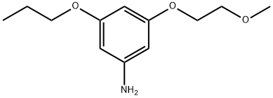 3-(2-Methoxyethoxy)-5-propoxybenzenamine Structure