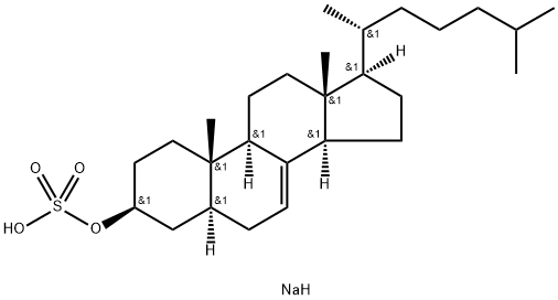 Sodium (20R)-cholest-7-en-3beta-yl sulfate Struktur