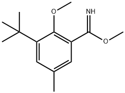 Methyl 3-(1,1-dimethylethyl)-2-methoxy-5-methylbenzenecarboximidate 化学構造式