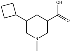 5-cyclobutyl-1-methylpiperidine-3-carboxylicacid 结构式