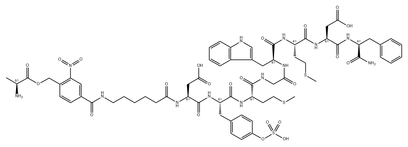 4-alanyloxymethyl-3-nitrobenzoyl-epsilon-aminohexanoyl-cholecystokinin 化学構造式