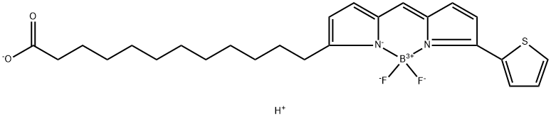 BODIPY 558/568 C12 化学構造式