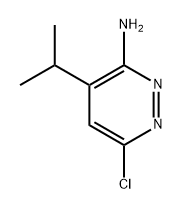 6-chloro-4-isopropylpyridazin-3-amine|6-氯-4-异丙基哒嗪-3-胺