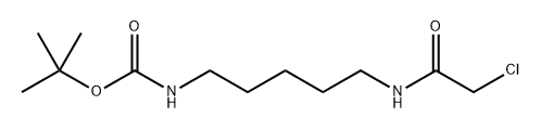 tert-butyl (5-(2-chloroacetamido)pentyl)carbamate,1616693-72-1,结构式