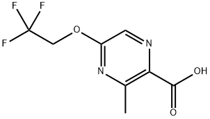 3-Methyl-5-(2,22-trifluoroethoxy)2-pyrazinecarboxylic acid 化学構造式