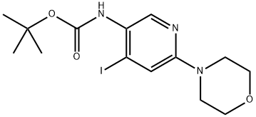 tert-butyl (4-iodo-6-morpholinopyridin-3-yl)carbamate,1639049-53-8,结构式