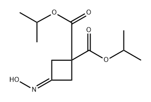 1,1-Cyclobutanedicarboxylic acid, 3-(hydroxyimino)-, 1,1-bis(1-methylethyl) ester Structure