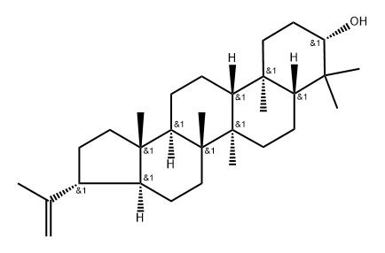 A'-Neogammacer-22(29)-en-3-ol, (3β,21β)- Struktur