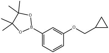 1688695-62-6 2-(3-(环丙基甲氧基)苯基)-4,4,5,5-四甲基-1,3,2-二氧硼杂环戊烷