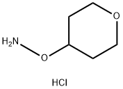 Hydroxylamine, O-(tetrahydro-2H-pyran-4-yl)-, hydrochloride (1:1)|O-(四氢-2H-吡喃-4-基)羟胺盐酸盐