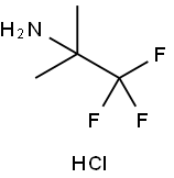 1,1,1-三氟-2-甲基丙烷-2-胺盐酸 结构式