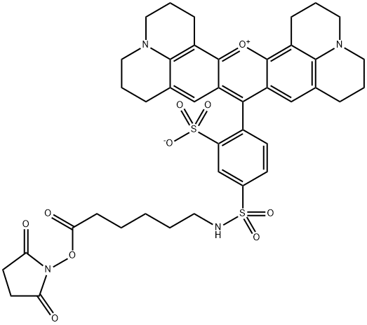 Texas Red-X succinimidyl ester 化学構造式