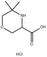 1796909-80-2 5,5-二甲基吗啉-3-羧酸盐酸盐