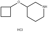 3-cyclobutoxypiperidine hydrochloride Struktur