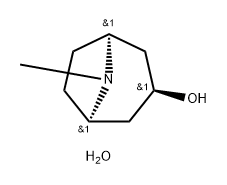2,3-디히드로-3α-히드록시-8-메틸노르트로피딘