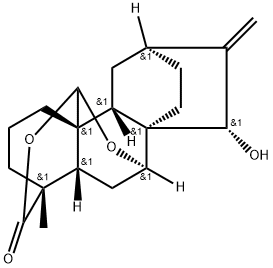 スピラミラクトンB 化学構造式