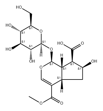 Cyclopenta[c]pyran-4,7-dicarboxylic acid, 1-(β-D-glucopyranosyloxy)-1,4a,5,6,7,7a-hexahydro-6-hydroxy-, 4-methyl ester, (1S,4aS,6S,7R,7aS)- 化学構造式