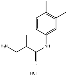 3-Amino-N-(3,4-dimethylphenyl)-2-methylpropanamide hydrochloride|3-氨基-N-(3,4-二甲基苯基)-2-甲基丙酰胺盐酸盐
