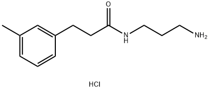 N-(3-氨基丙基)-3-(间甲苯基)丙酰胺盐酸盐 结构式