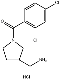 (3-(氨基甲基)吡咯烷-1-基)(2,4-二氯苯基)甲酮 结构式