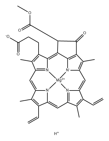 2,4-divinylprotochlorophyllide Structure