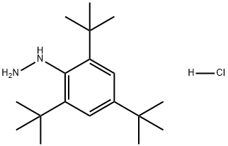 Hydrazine, [2,4,6-tris(1,1-dimethylethyl)phenyl]-, hydrochloride (1:1) Structure