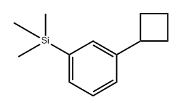 (3-cyclobutylphenyl)trimethylsilane 结构式