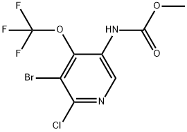 methyl(5-bromo-6-chloro-4-(trifluoromethoxy)pyridin-3-yl)carbamate,1855897-59-4,结构式